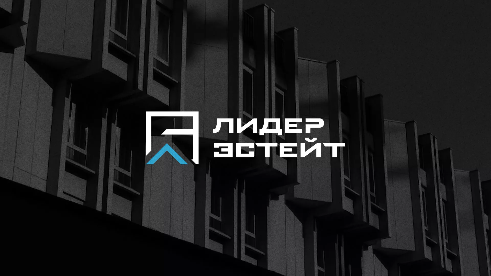 Разработка логотипа агентства недвижимости «Лидер Эстейт» в Орске