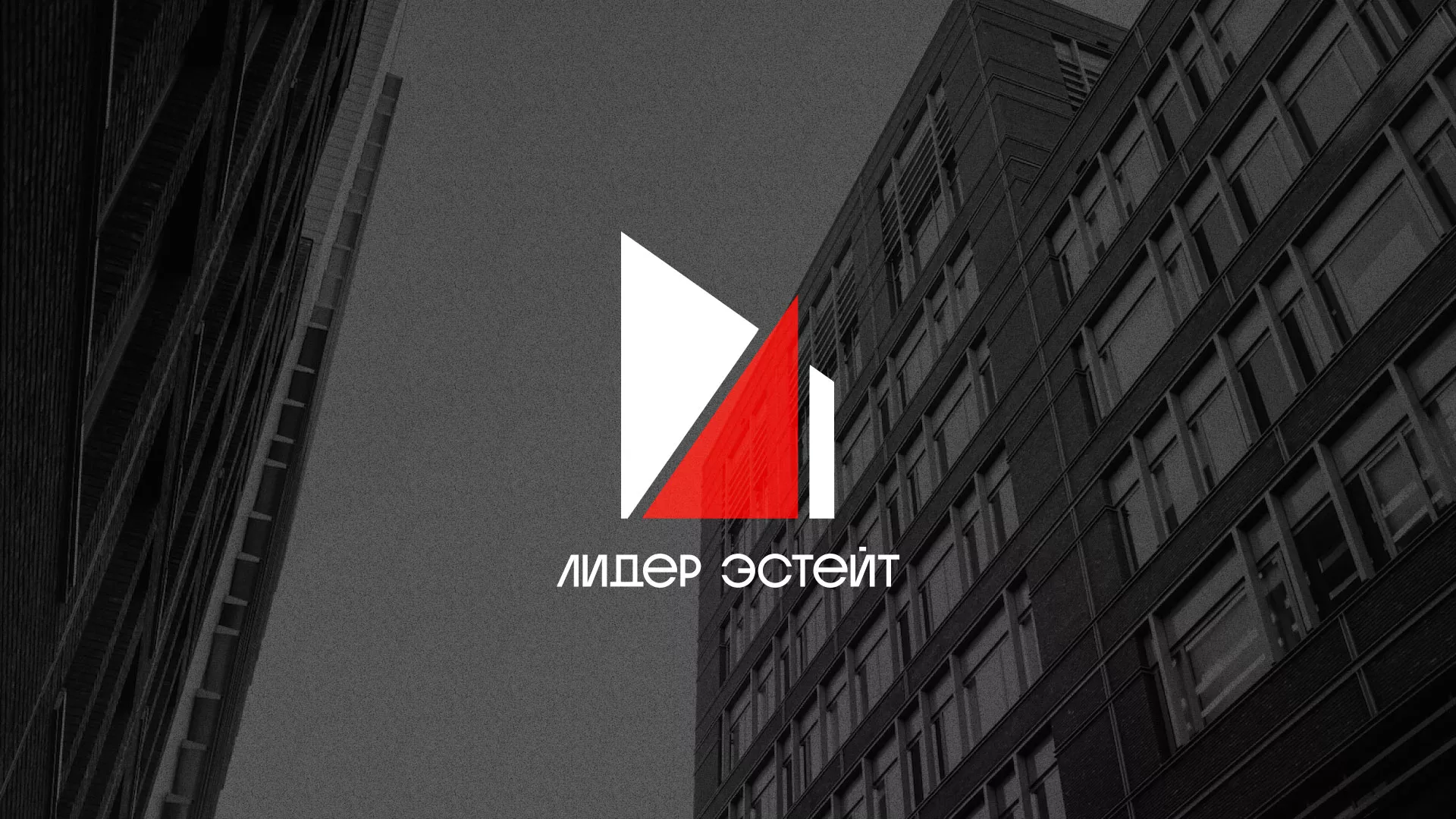 Сделали логотип для агентства недвижимости «Лидер Эстейт» в Орске